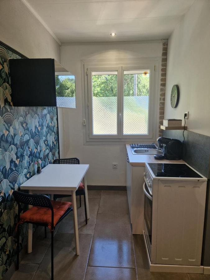 Appartement Independant Dans Maison Avec Jardinet, Au Calme Sérézin-du-Rhône Εξωτερικό φωτογραφία